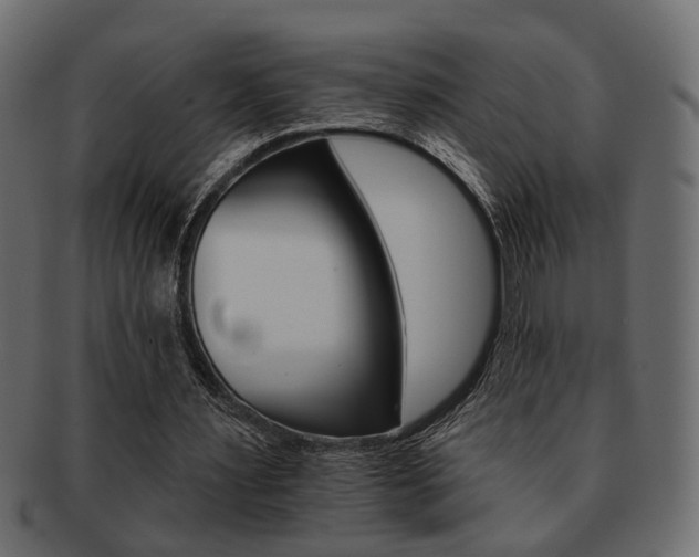 X0000093220483200709261635