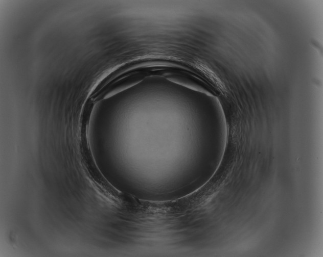 X0000093220484200709261635