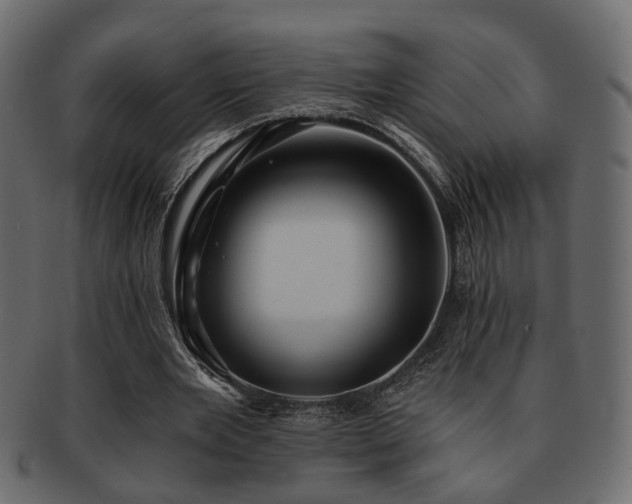 X0000093220485200709261635