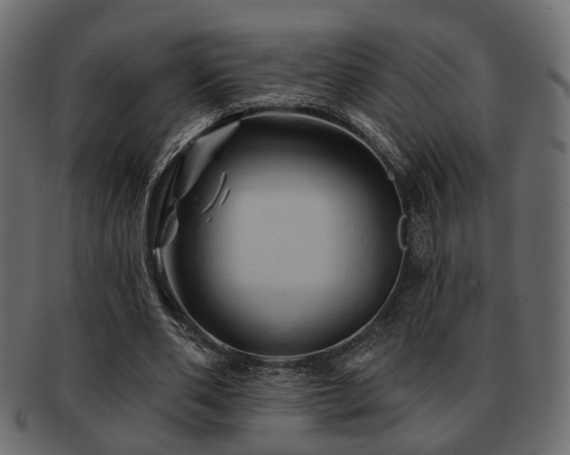 X0000093220486200709261635