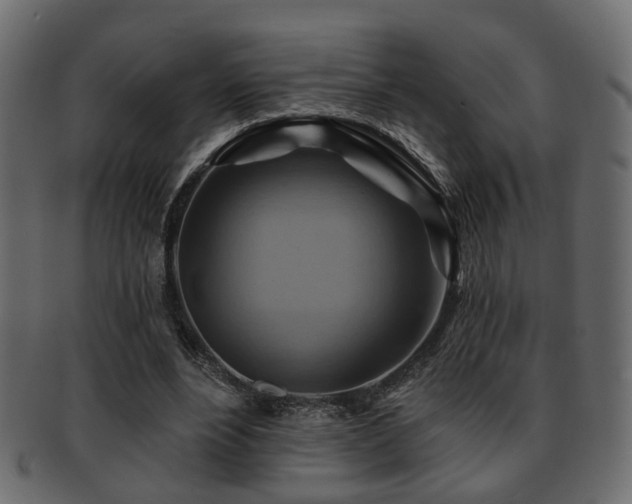 X0000093220488200709261635