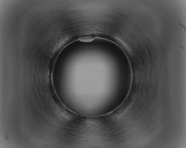 X0000093220490200709261635