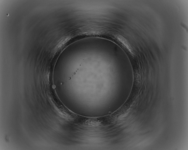 X0000093220491200709261635