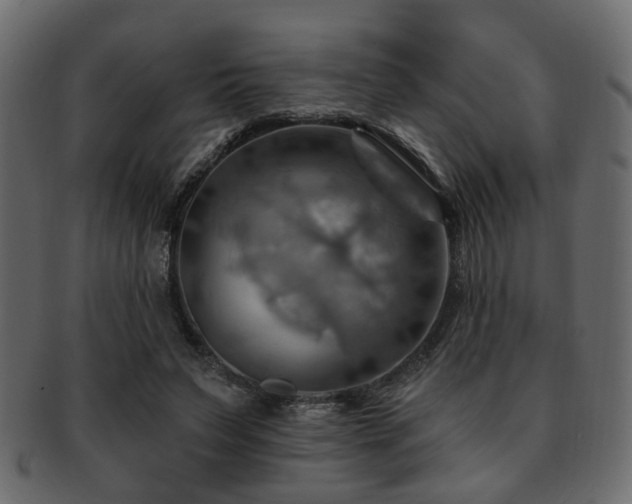 X0000093220495200709261635