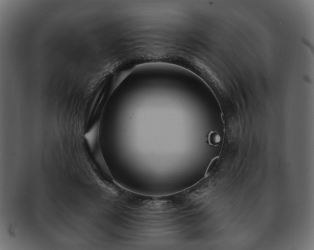 X0000093220497200709261635