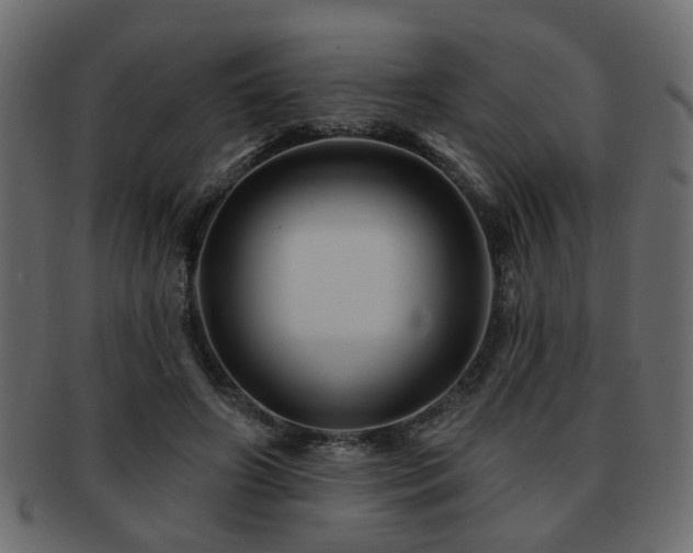 X0000093220498200709261635
