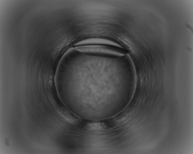 X0000093220499200709261635