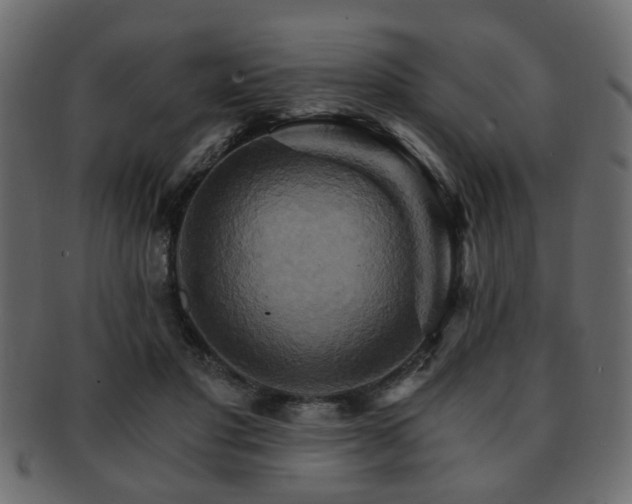 X0000093220501200709261634