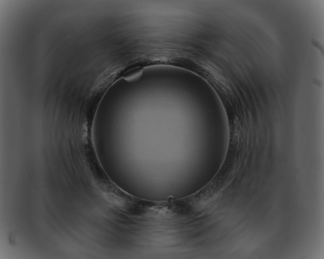 X0000093220502200709261634