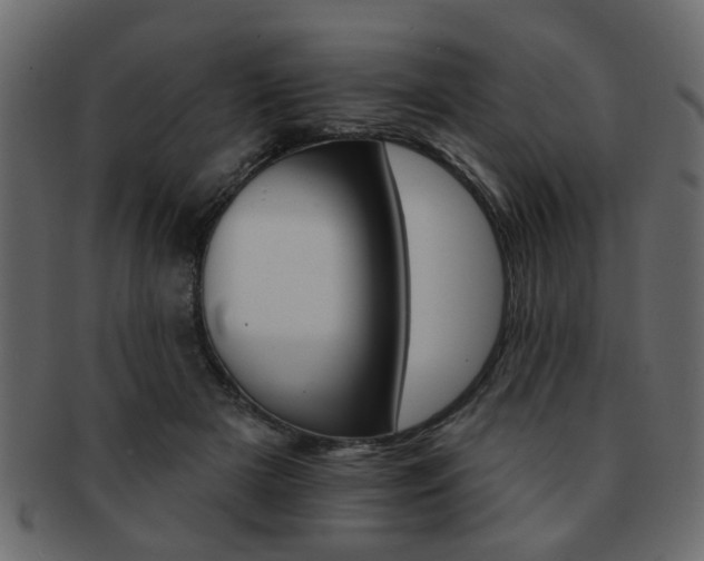 X0000093220505200709261634