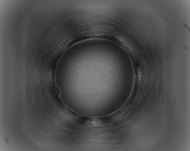 X0000093220506200709261634