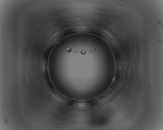 X0000093220507200709261634