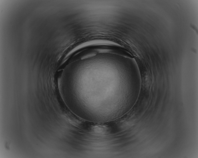 X0000093220508200709261634