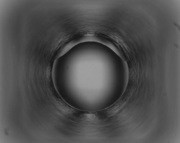 X0000093220509200709261634