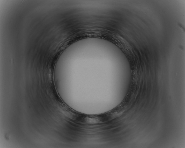 X0000093220510200709261634