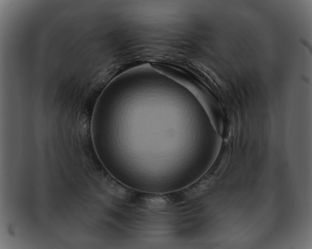 X0000093220513200709261634