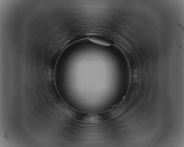 X0000093220514200709261634