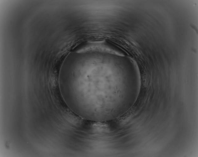 X0000093220515200709261634