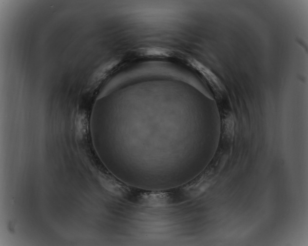X0000093220517200709261634