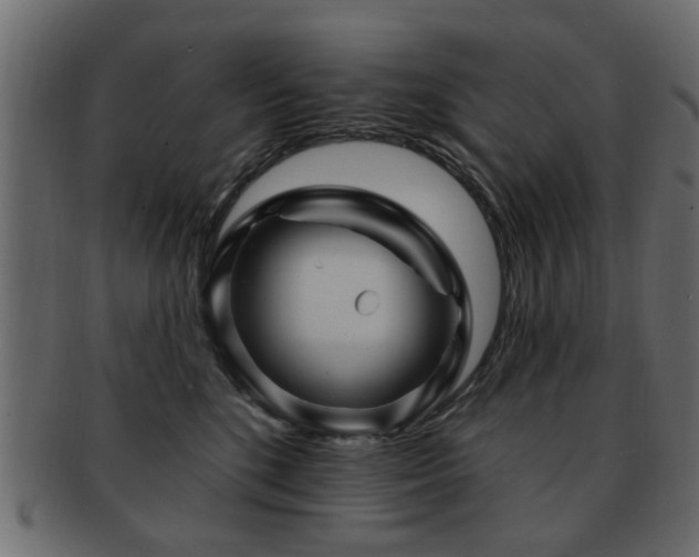X0000093220520200709261634