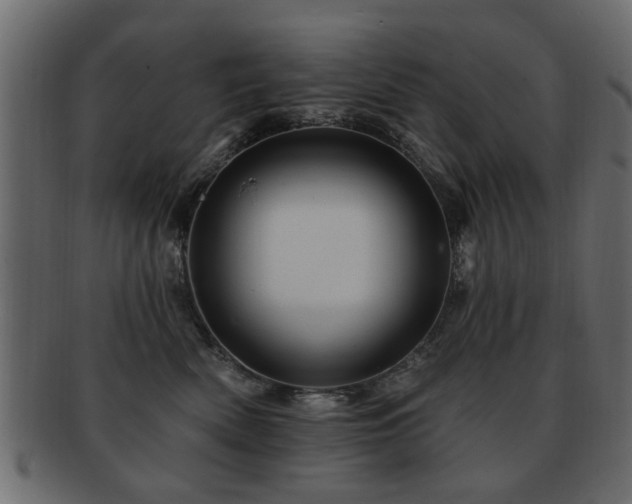 X0000093220522200709261634