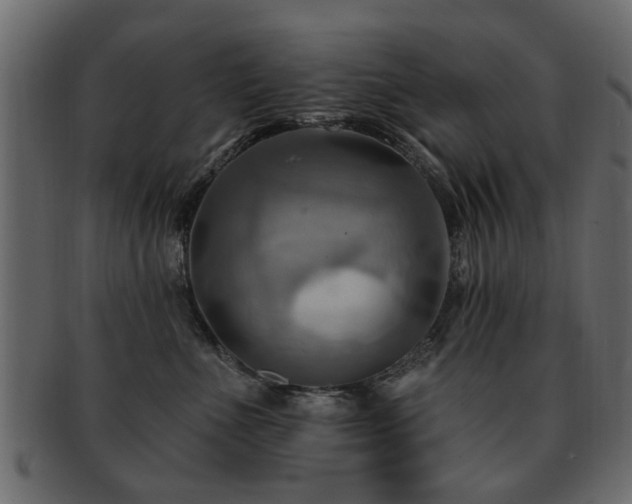 X0000093220523200709261634