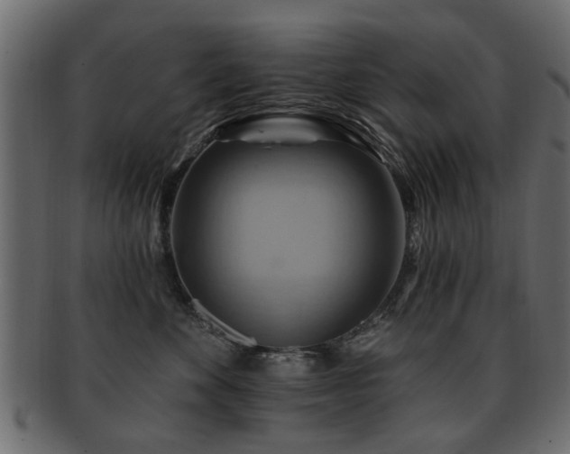 X0000093220524200709261634