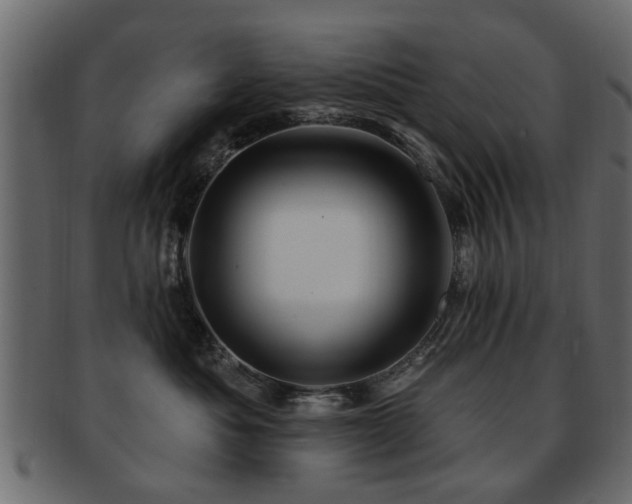 X0000093220525200709261634