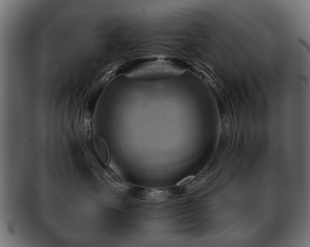 X0000093220527200709261634