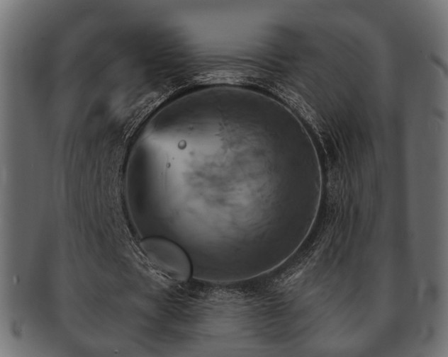 X0000093220529200709261633