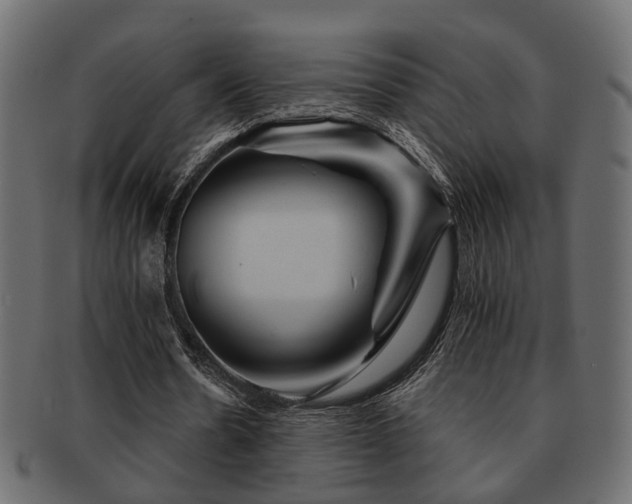 X0000093220530200709261633