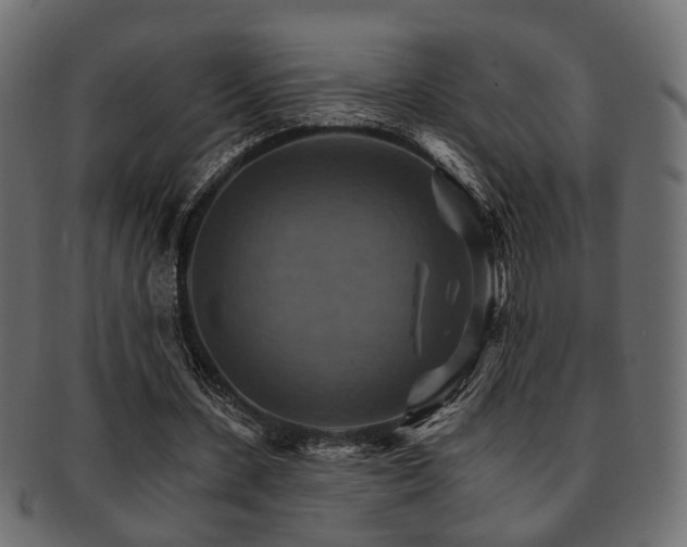 X0000093220531200709261633