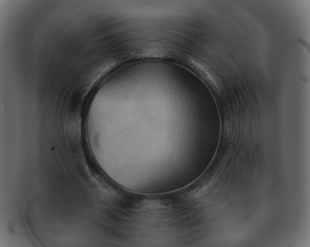 X0000093220534200709261633