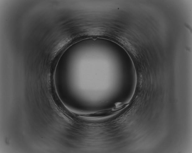 X0000093220535200709261634