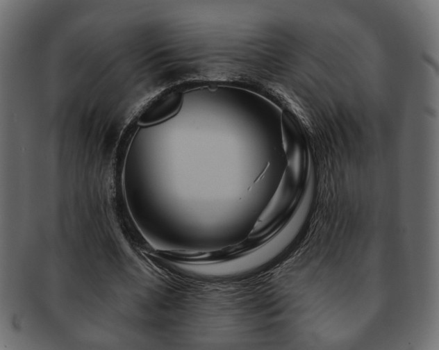 X0000093220536200709261634