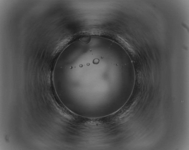 X0000093220537200709261634