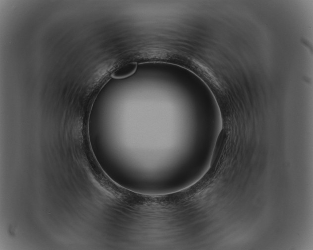 X0000093220538200709261634