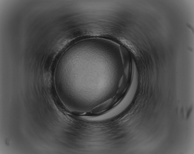 X0000093220540200709261634