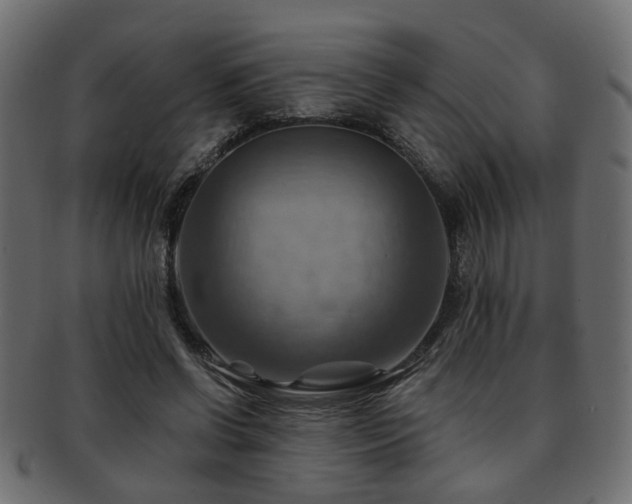 X0000093220542200709261634
