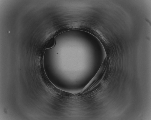 X0000093220543200709261634