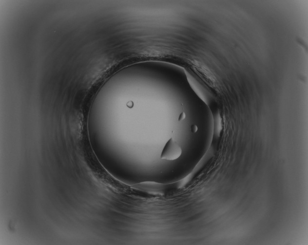 X0000093220544200709261634