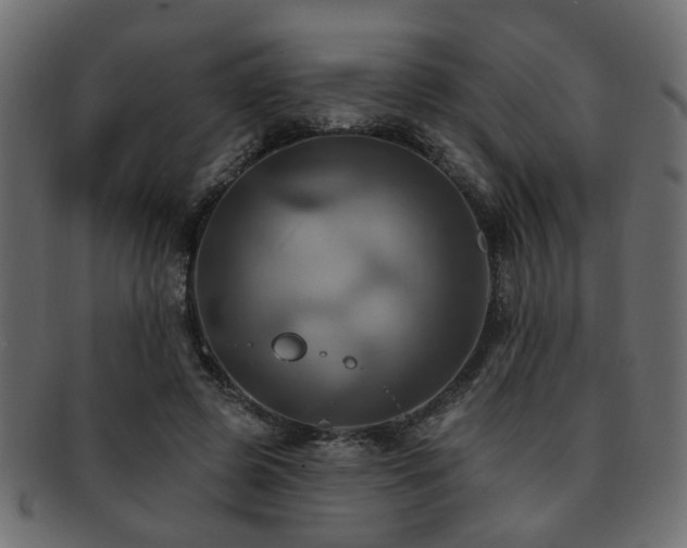 X0000093220545200709261634