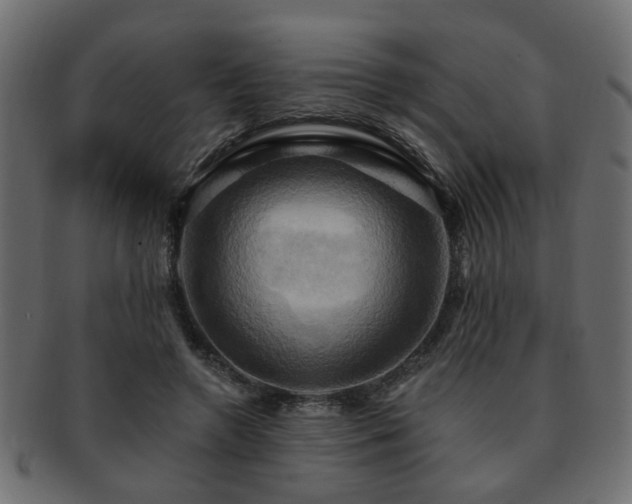 X0000093220546200709261634