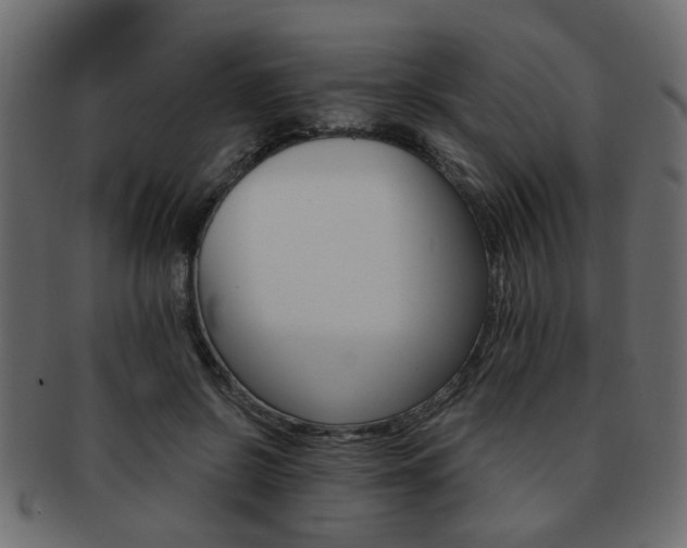 X0000093220550200709261634