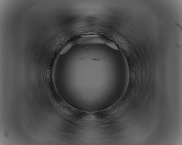 X0000093220551200709261634