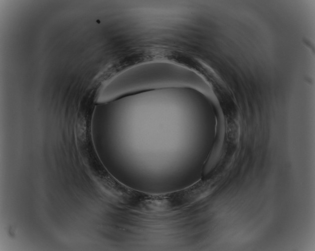 X0000093220552200709261634