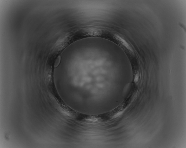 X0000093220553200709261634