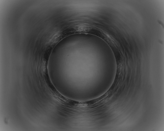X0000093220554200709261634