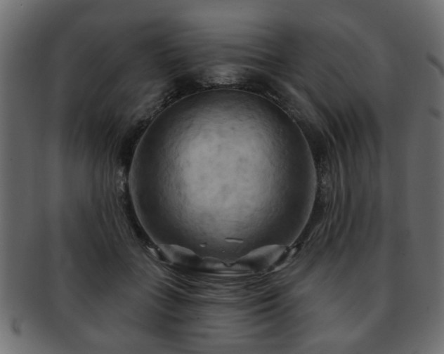 X0000093220555200709261634