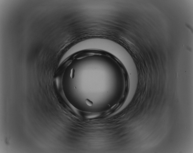 X0000093220556200709261634